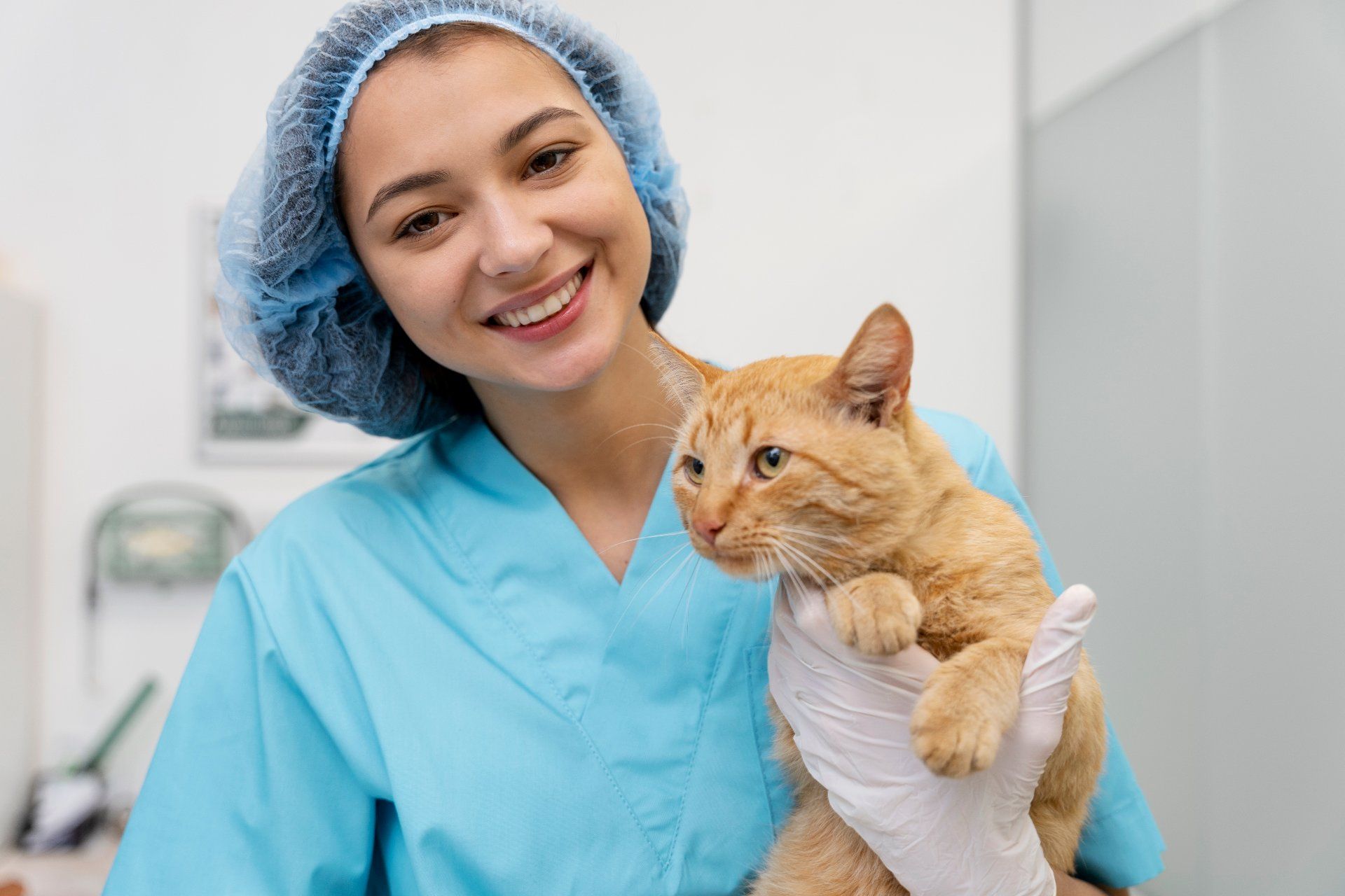 Bellus Clínica Veterinária